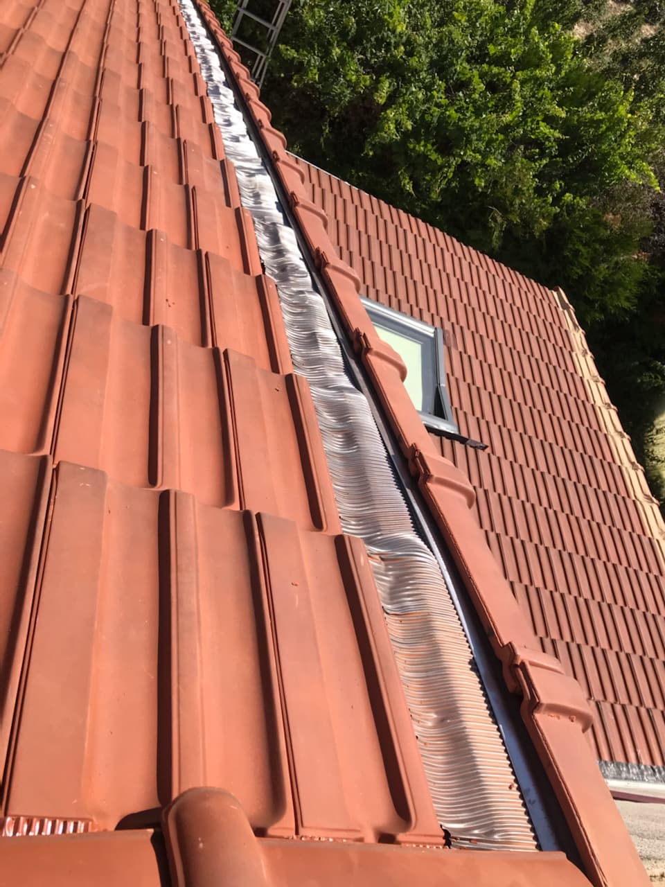 Application traitement et réparation Traitement anti-mousse